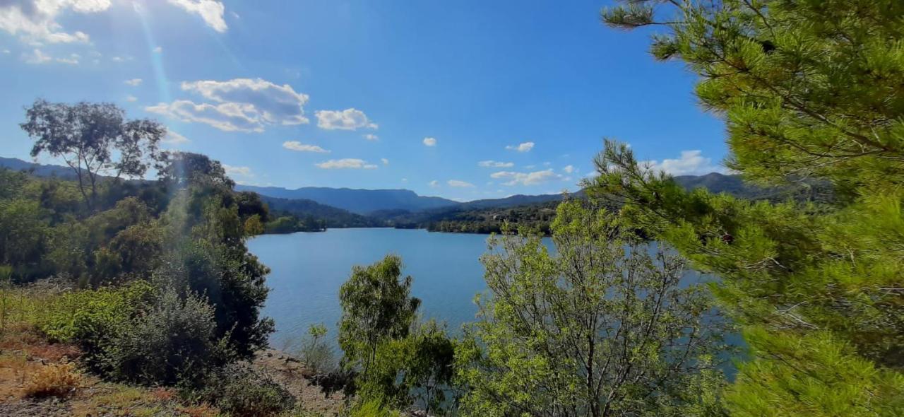 La Casita De Jimena Villa Riudecanyes Dış mekan fotoğraf