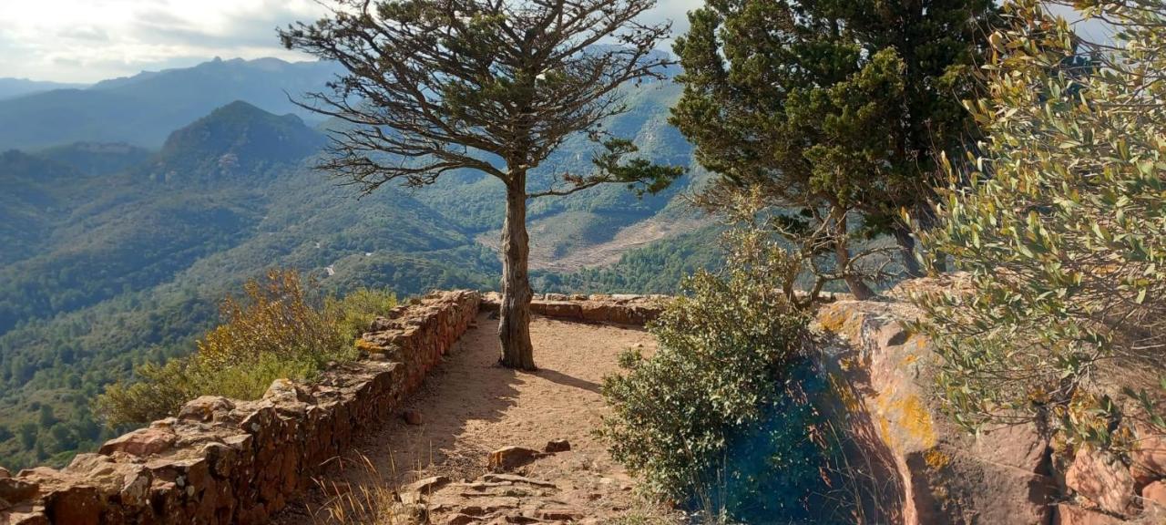 La Casita De Jimena Villa Riudecanyes Dış mekan fotoğraf