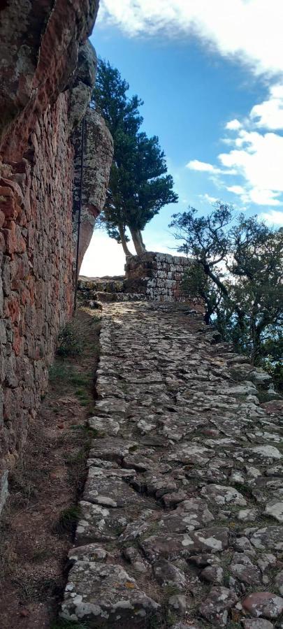 La Casita De Jimena Villa Riudecanyes Dış mekan fotoğraf