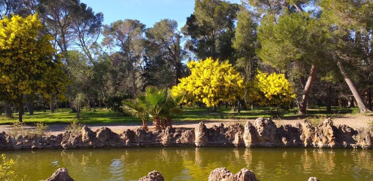 La Casita De Jimena Villa Riudecanyes Dış mekan fotoğraf